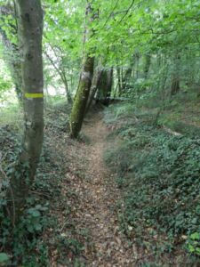 Chemins de traverse en Billio